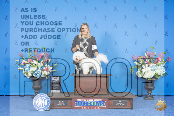 Bichon Frise #7 SAT BOW M Judge James Moses__JP_0003_Houston_2024_HR3