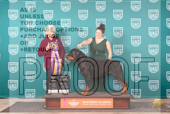 Rottweiler #287 Sun BIS Judge Kathryn Baxter__JP_2491_UKCEastern_2024_HR3