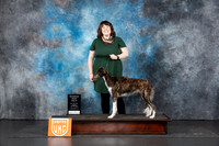 Silken Windhound #157 Sun RBM Judge Sandra Phillips