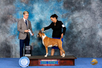 Boxer #25 WED SD Judge Douglas Johnson