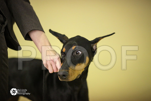 Dobe-7461-HtoJan14-HR