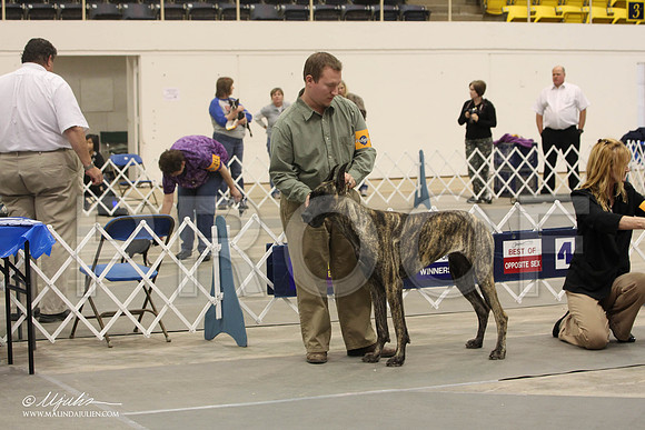 IMG_9358-Abilene2011-HR3