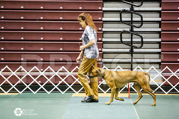 _RH_8677-BsrCtyJun2014-HR3