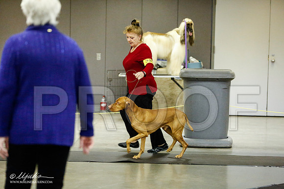 _RH_1185-BeltonJan2015IABCA-HR3