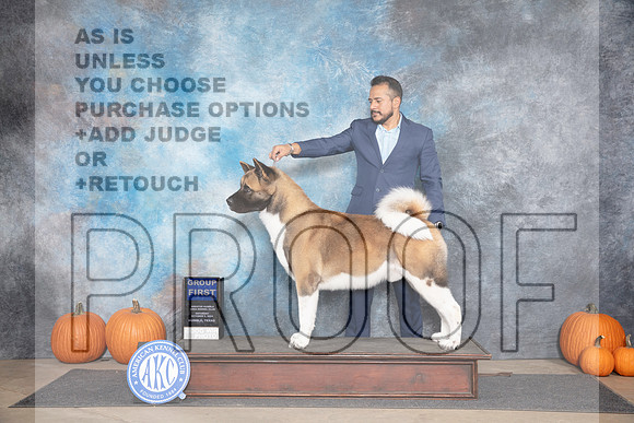 Akita #5 Sat G1 Judge Hal Biermann r__JP_9378_Humble_2024_HR3