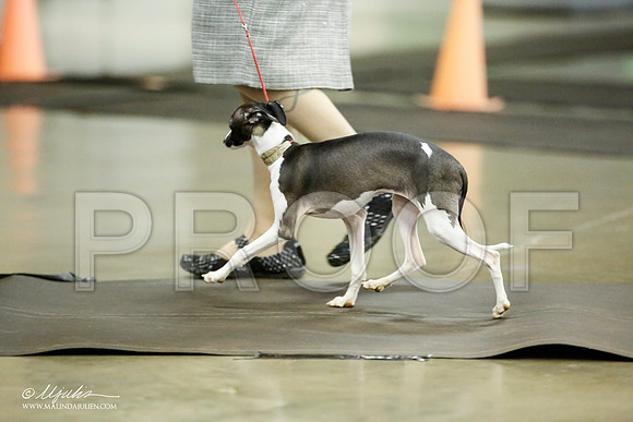 _JJ_5360-BeltonJan2015IABCA-HR3