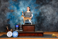 Italian Greyhound #6 Fri BOBOHBOB Judge Denise Dean