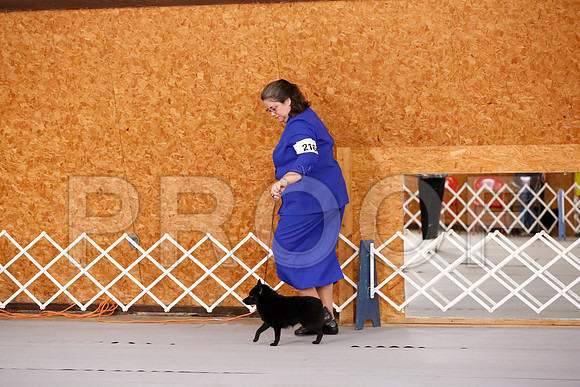 _RH_8340-CarlrolltonSept2014-HR3