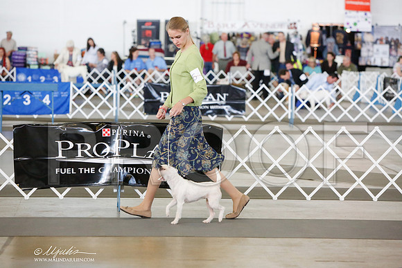 _JJ_7999-DallasJul2014-HR3