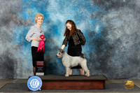 Pumi #5 Mon G2 Judge June Penta