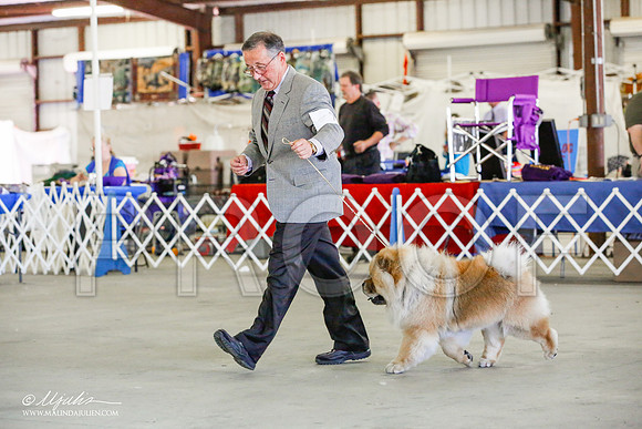 _JJ_4449-AlamogordoOct2014-HR3