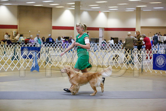 _JN_9392-AmarilloSept2014-HR3