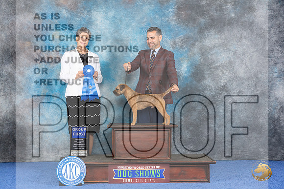 Border Terrier #9 WED G1 Judge Christine Erickson__JP_6992_Houston_2024_HR3