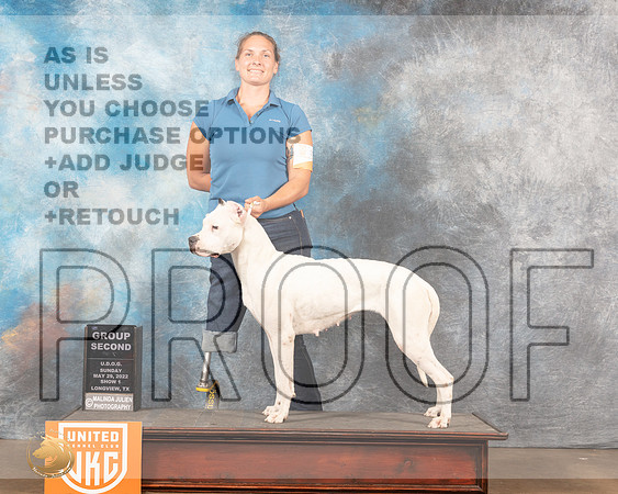 Dogo Argentino #311 G2 Sun1 Judge Kevin Izard-CarrollMMJ_5950_Lngvw2022HR3