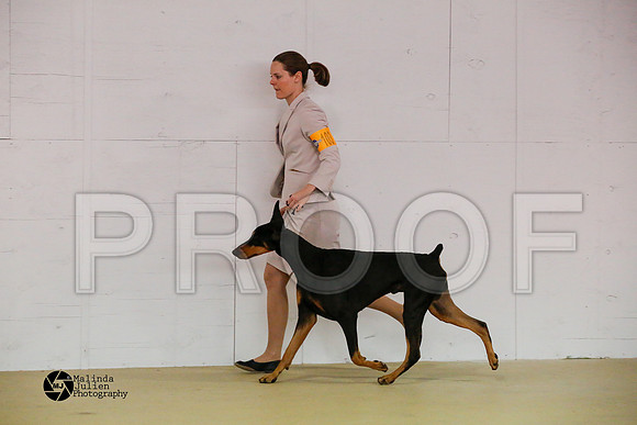 Guard--46-HtoJan2014-HR3