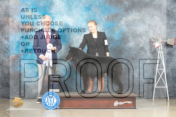 Belgian Sheepdog #5 Fri G4 Judge Fred Bassett_MJ_4060_Amarillo_2022_HR3