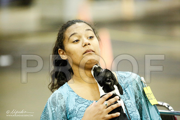 _JJ_5969-BeltonJan2015IABCA-HR3