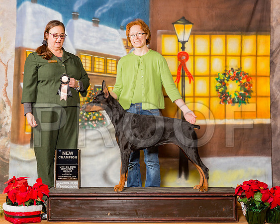 _ST_1569-MrshllDec2016©JulienLambertPhoto.com-HR3