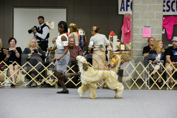 _JJ_9076-AfgBeltonOct2014-HR3