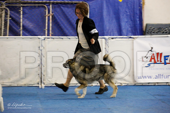 _M3_9510-AddisonHuskyMar2015-HR3