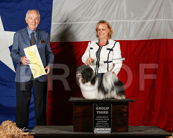 _ST_1875-2-AmarilloSep2014-HR3