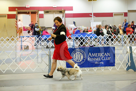 _JJ_8237-AmarilloSept2014-HR3