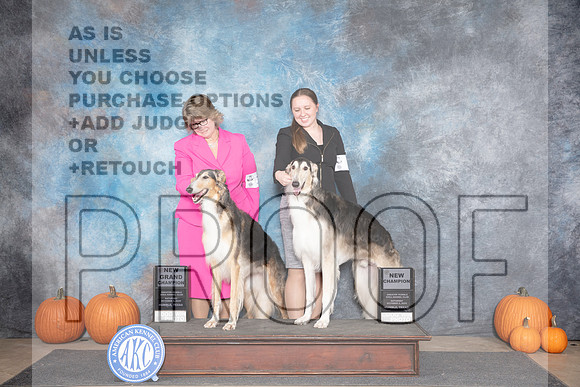 Borzoi #18 #7 Fri NCH NGCH Judge Ann Roth__JP_8697_Humble_2024_HR3