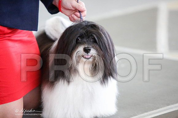 _JJ_3263-DallasJul2014-HR3