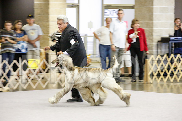 _JJ_0787-AfgBeltonOct2014-HR3