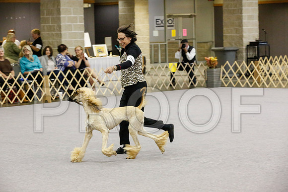 _JJ_8131-AfgBeltonOct2014-HR3