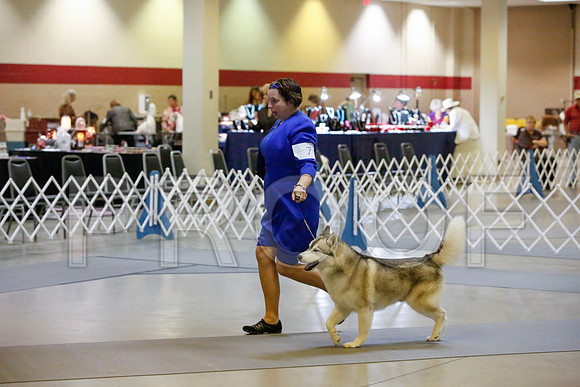 _JJ_9304-AmarilloSept2014-HR3
