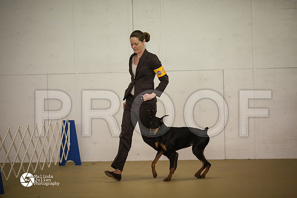 Dobe-7452-HtoJan14-HR