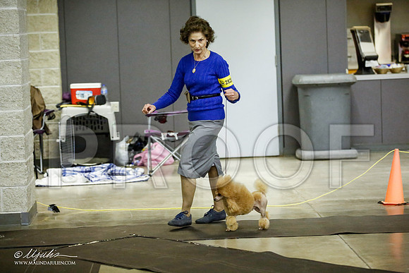 _JJ_5478-BeltonJan2015IABCA-HR3