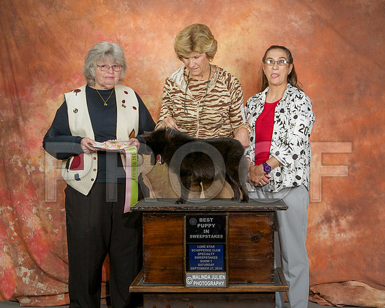_ST_2339-CarlrolltonSept2014-HR3