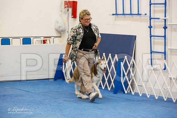 _M3_7853-AddisonHuskyMar2015-HR3
