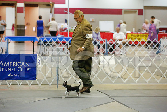 _JJ_0200-AmarilloSept2014-HR3