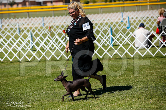 _JJ_8426-AlamogordoOct2014-HR3