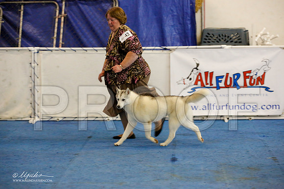 _M3_0710-AddisonHuskyMar2015-HR3