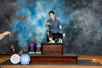 Cavalier King Charles Spaniel #14 Fri BOBOHBOBWB Judge Tim Robbins r