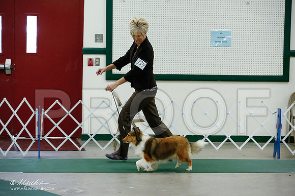 _JJ_4591-NrmnNov2014-HR3