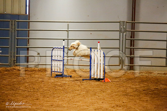 _MJ_2486-AfgBeltonOct2014-HR3
