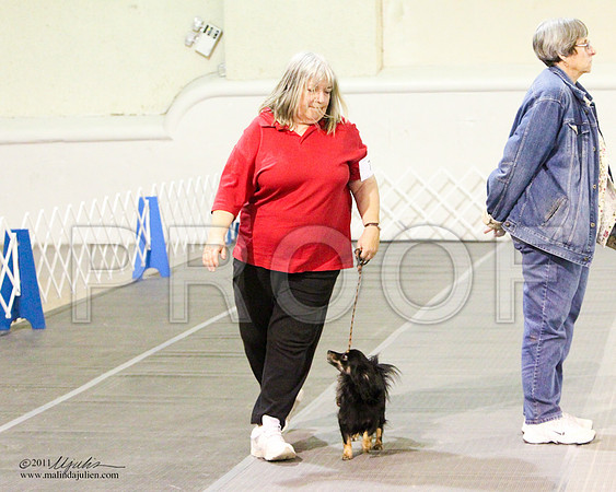 Beg Nov B Sat-8128