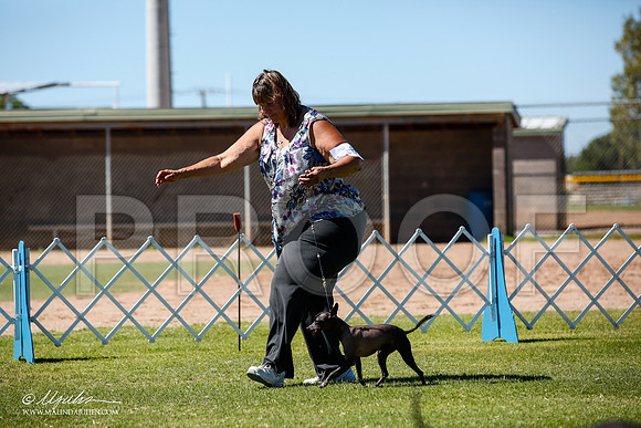 _JJ_8555-AlamogordoOct2014-HR3