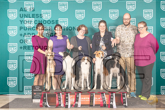 Silken Windhound Total Dogs__JP_2475_UKCEastern_2024_HR3