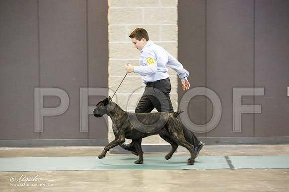 _JN_1673-BeltonJan2015-HR3