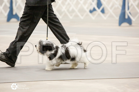 _CK_8857-AblnMay2014-web