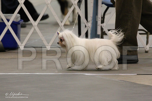 IMG_7922-Abilene2011-HR3