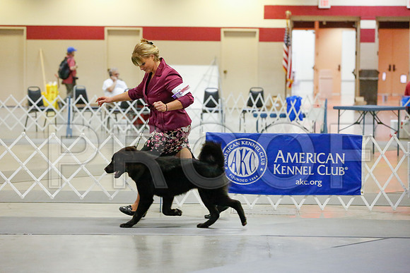 _JJ_9694-AmarilloSept2014-HR3
