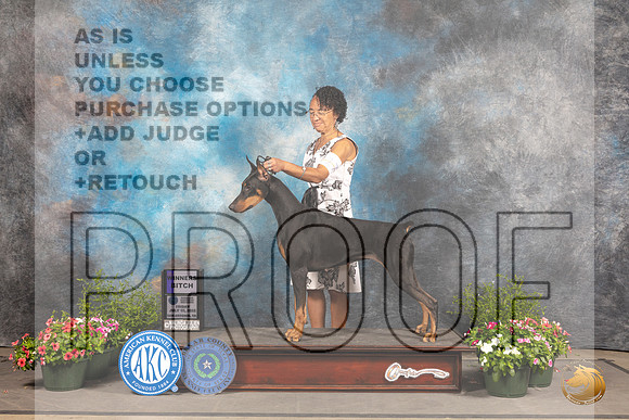Doberman Pinscher #6 Fri WB Judge Jan Paulk r_MJ_1071_SA_2022_HR3