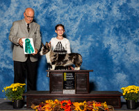 Cardigan Welsh Corgis #8 Sun OH G3 Shirey Shelly Ron Judge Mr Gary L Andersen